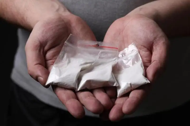 Наркотики нашла у нарушителя ПДД служебная собака в Жамбылской области