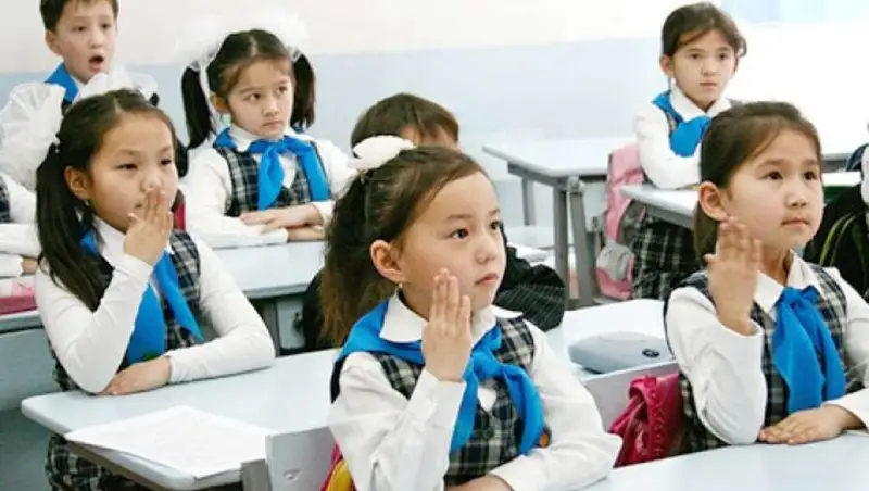 ءبىرىنشى سىنىپ وقۋشىسىنا ۇنايتىن 8 پايدالى زات