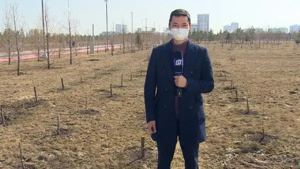 ەلوردا ساياباقتارىندا كليماتتى جاتسىناتىن وسىمدىكتەردى جەرسىندىرۋ ءجۇرىپ جاتىر