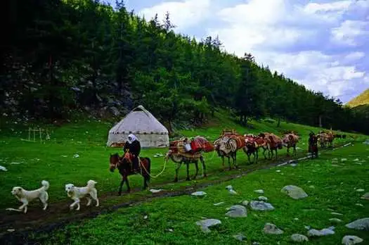 ءسوز تاپقانعا قولقانىڭ قانداي قاتىسى بار؟