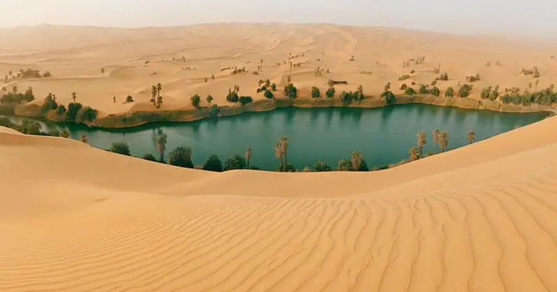 ساحارا ءشولىن كوگالداندىرۋ مۇمكىن بە؟