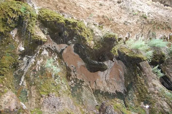 Оңтүстіктегі &laquo;Тамшы әулие&raquo; атауы қайдан шыққан