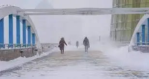 الداعى 3 كۇنگى اۋا رايى بولجامى