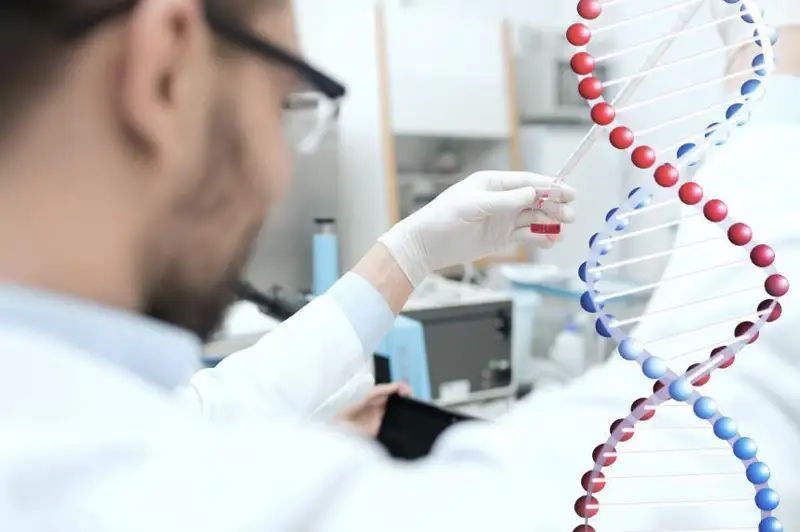Ózbekstanda týystar bir-birine úılenbes úshin nekege turatyndar test tapsyrady