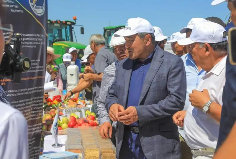 В Жамбылской области провели традиционный День поля