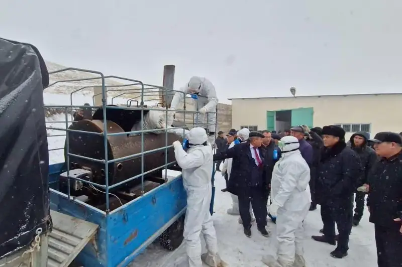 Учения по ликвидации чумы мелких жвачных провели в Жамбылской области