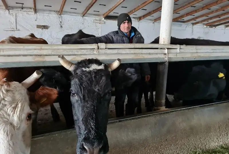 Итоги проекта по повышению доходов сельчан подвели в Жамбылской области