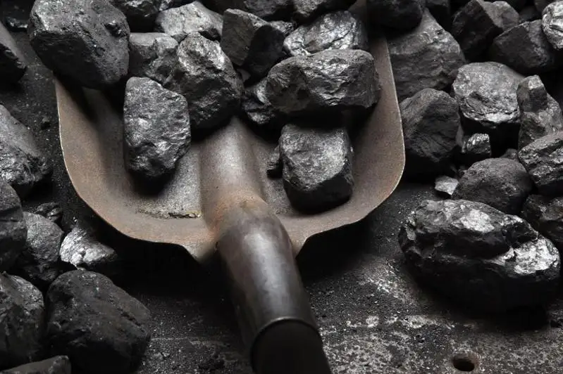 نۇر-سۇلتاندا كومىر باعاسى قانشا