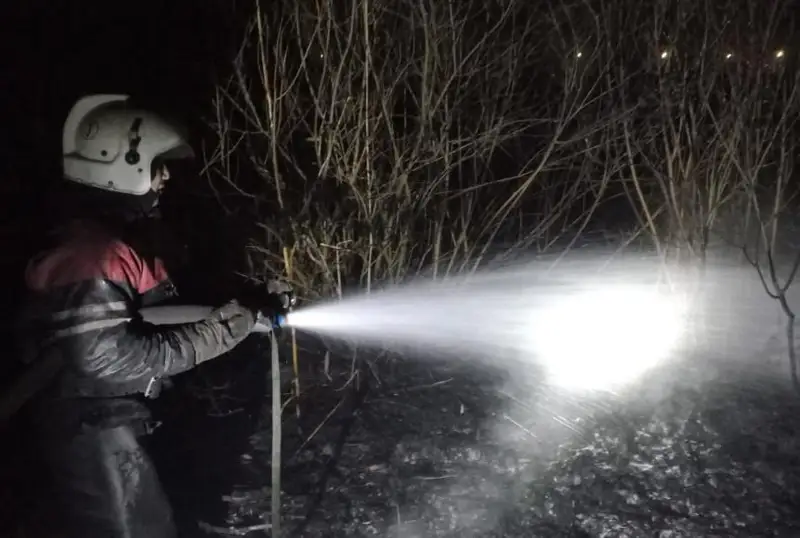 Загорание камыша близ частного сектора произошло в Семее