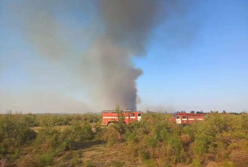 Крупный степной пожар потушили в Туркестанской области