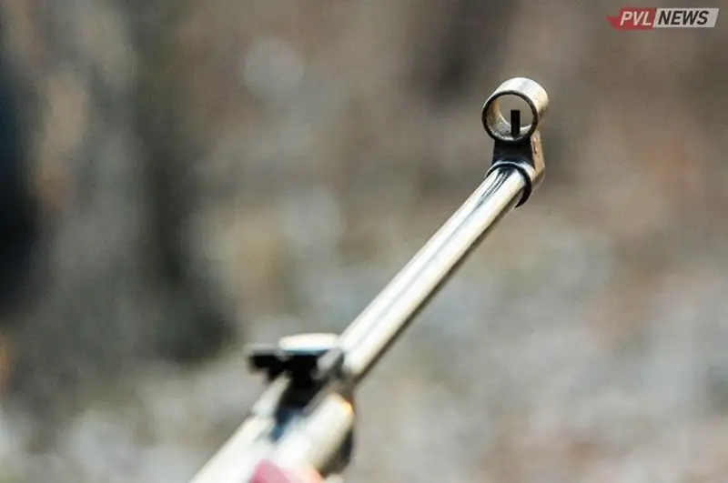 Охраняемый лес в Павлодарской области незаконно отдали охотникам