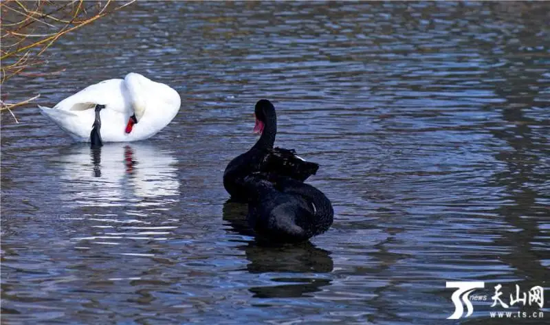 Қазақстан инвестиция салуға ең қолайлы елдердің бірі  - Шетелдегі қазақ тілді БАҚ-қа шолу