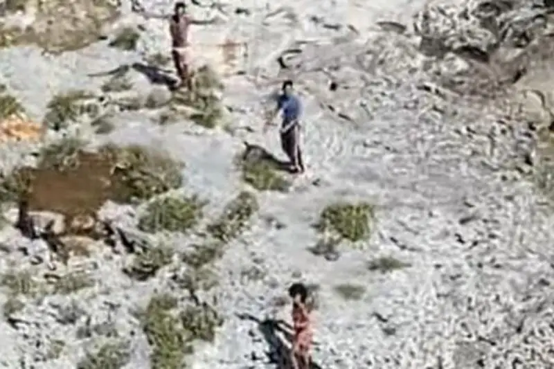 ءۇش كۋبالىق 33 كۇن بويى ەلسىز ارالدا ءومىر سۇرگەن
