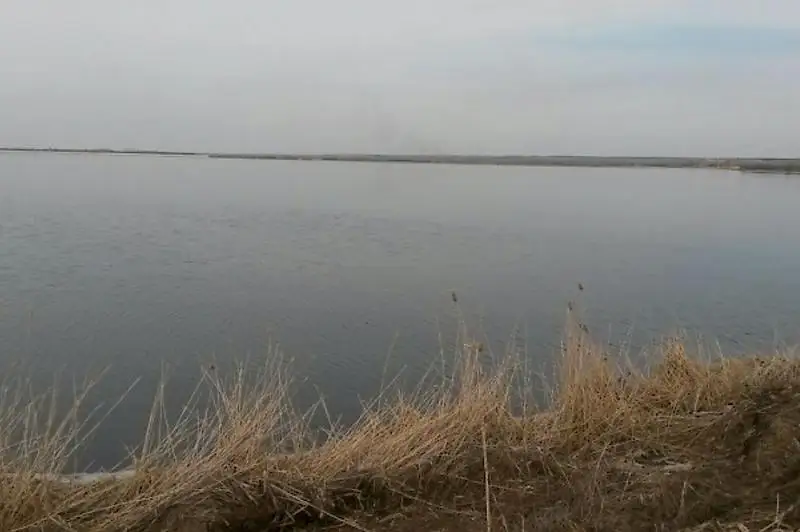 Несколько тонн хлореллы запустили в биопруд в Петропавловске