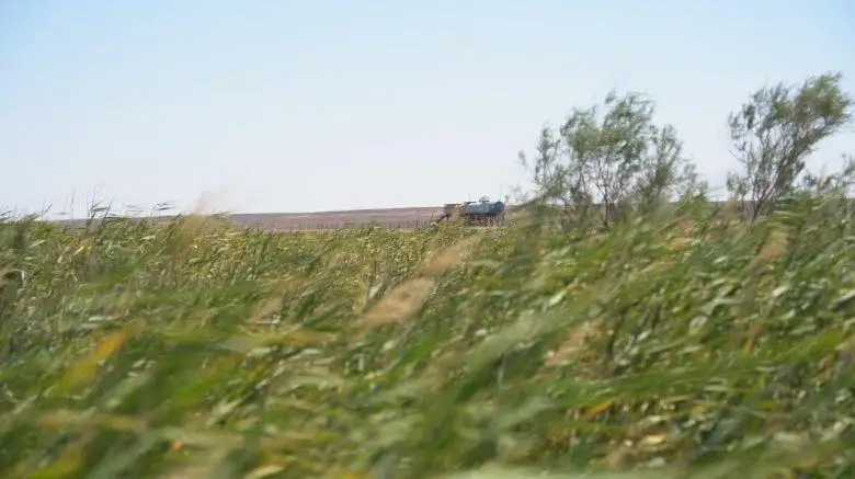 Состояние подземных вод месторождения Кокжиде проверят в Актюбинской области