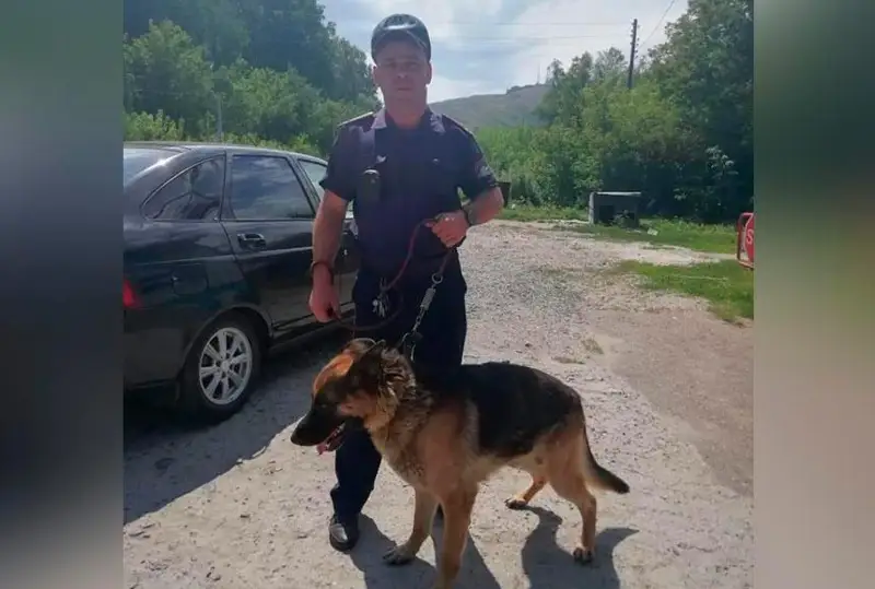 ShQO-da ıisshil ıt kóliktegi jolaýshydan esirtki tapty