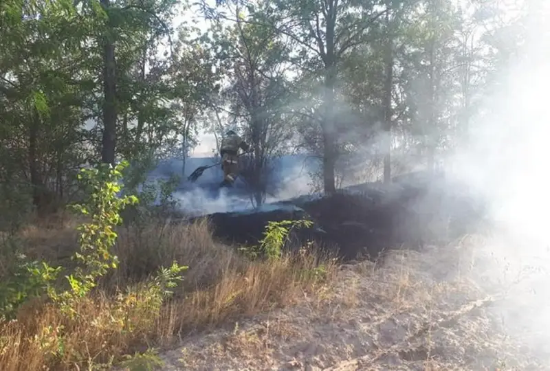 Деревья не пострадали от пожара на территории дендропарка в Шымкенте – акимат