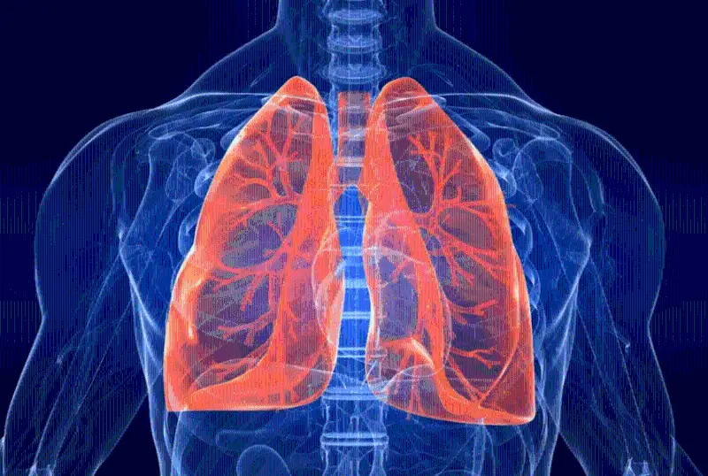 ادامزاتتىڭ تىرشىلىگىنە تىنىس سىيلاعان وكپەنىڭ قۇپياسى