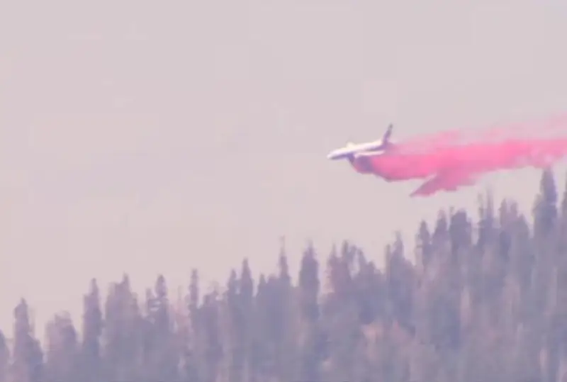 Самым высоким и толстым деревьям в мире угрожает лесной пожар в Калифорнии