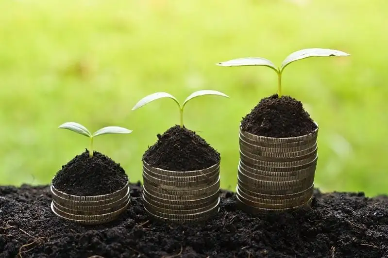 Земельным налогом недовольны аграрии Шымкента