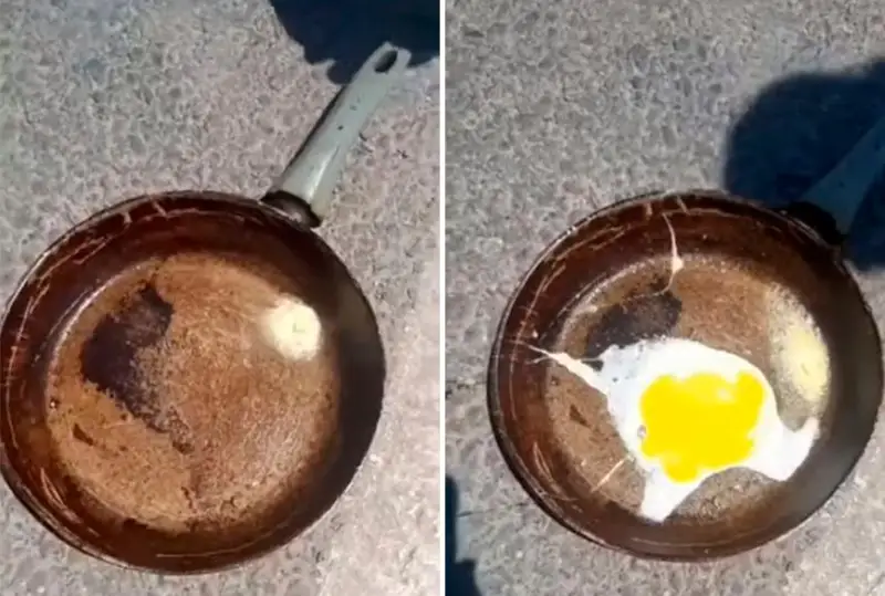 Túrkistandyqtar aptap ystyqta jolda jumyrtqa qýyrdy