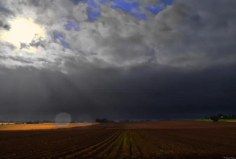Посевные работы затянулись из-за дождей в двух регионах РК