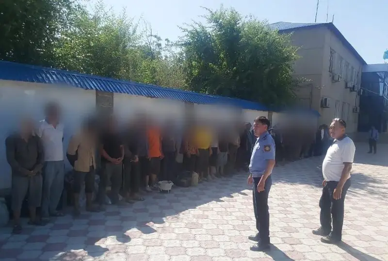 Túrkistan oblysynda keýrek ósimdigin qazýshylar azaımaı tur