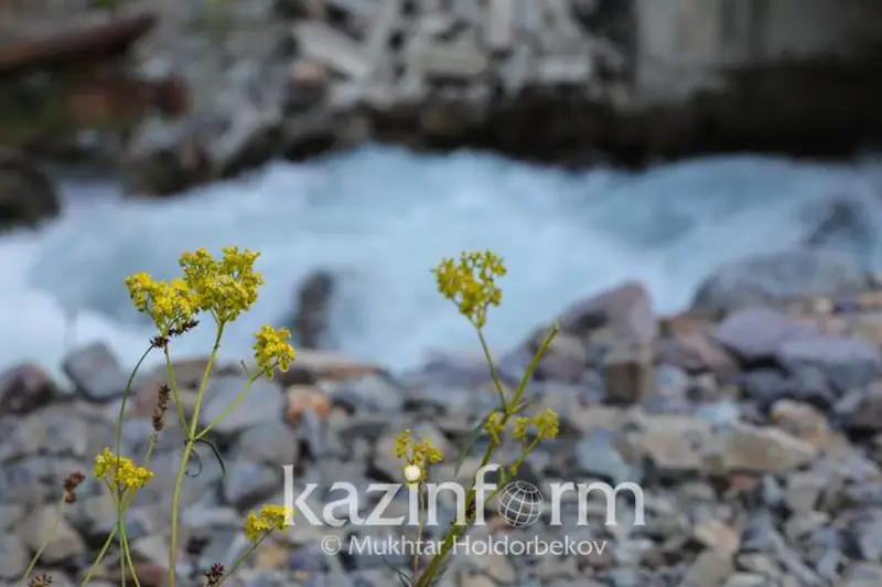 Площадь охраняемых природных территорий увеличат в Казахстане
