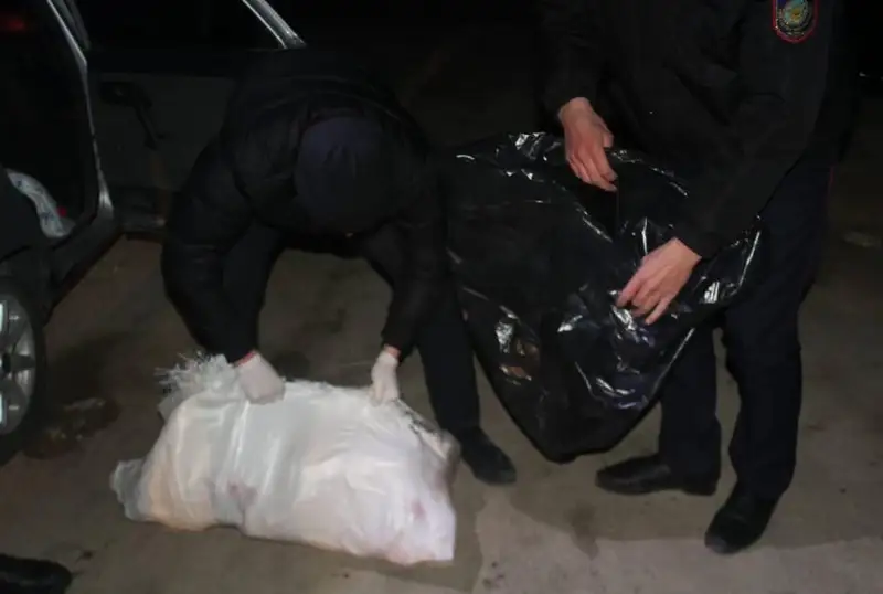 Тушу сайгака обнаружили в багажнике авто в Кызылординской области