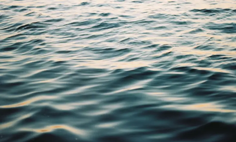 Тело выпавшего неделю назад из лодки мужчины нашли в Семее