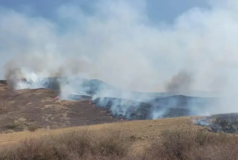 Степной пожар ликвидирован в Зайсанском районе