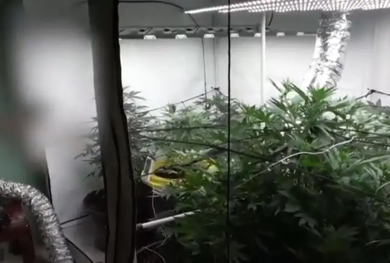 Нарколабораторию обнаружили на одной из дач Актобе