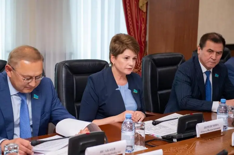 Сенат усиливает работу по взаимодействию с представителями гражданского общества