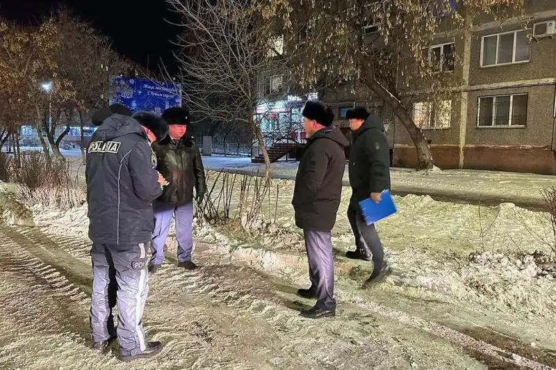 Подрядчика в Петропавловске наказали за поврежденные во время уборки снега кусты