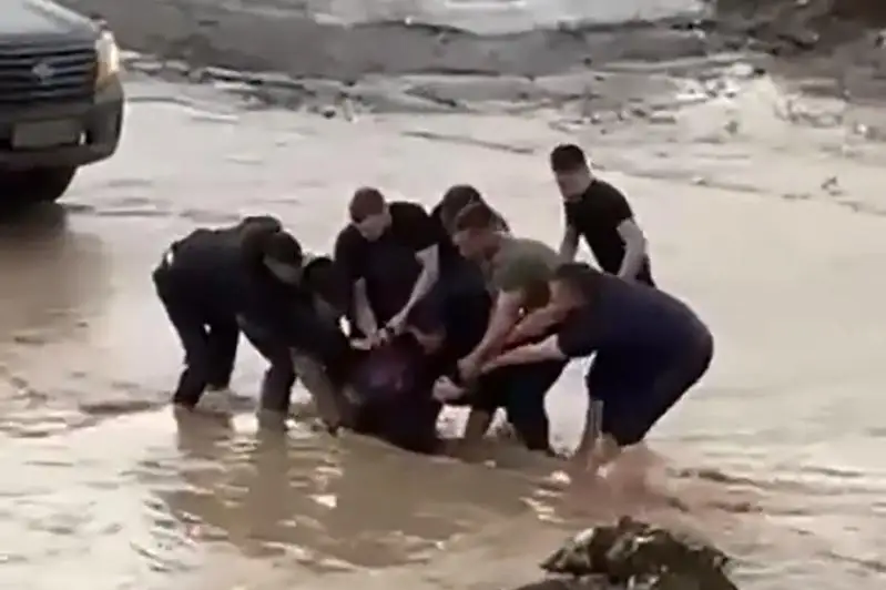 Несколько мужчин спасали девочку, тонувшую в арыке с талой водой в Актобе