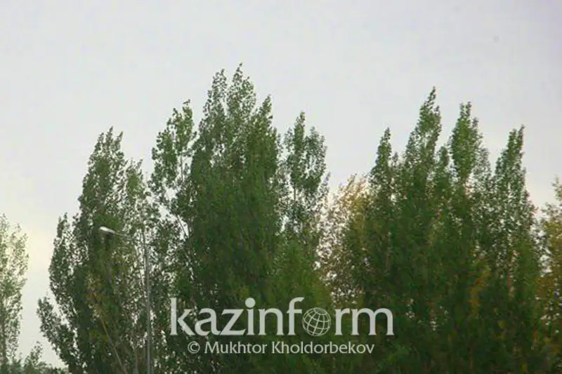 Штормовое предупреждение в Абайской области не объявлялось - МЧС РК