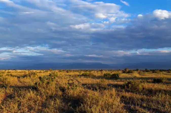 Пропавшего два дня назад пастуха отыскали костанайские спасатели