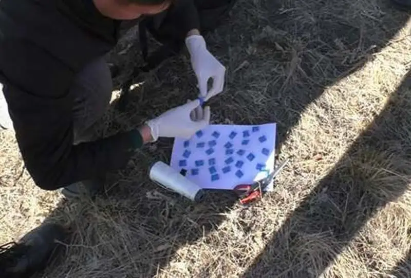 16-летнего наркокурьера задержали в Усть-Каменогорске