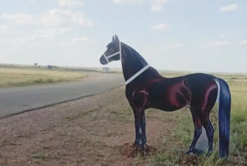 Макеты животных появились на дорогах в Акмолинской области