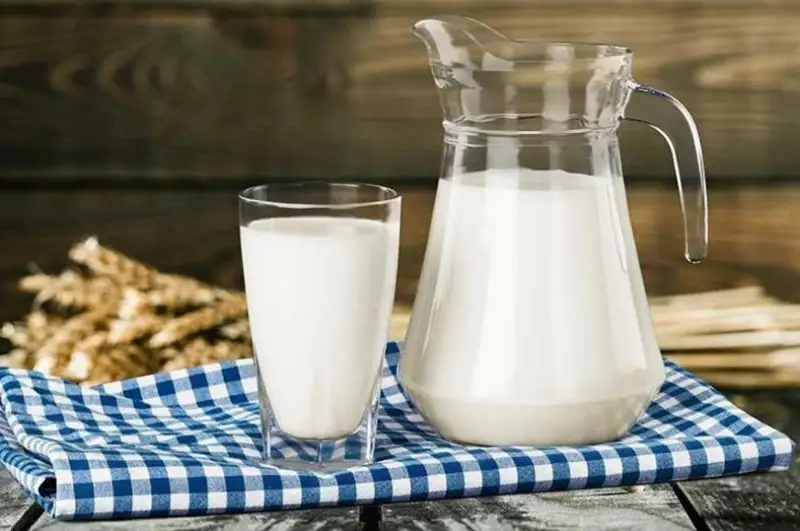 Предельно допустимую цену на кефир установят в СКО