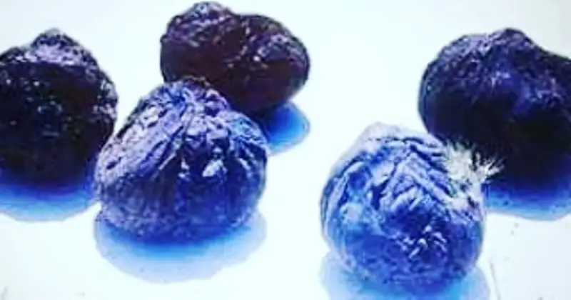 قارا سابىن - قازاقتىڭ پاتەنتتەلمەگەن تاپقىرلىعى