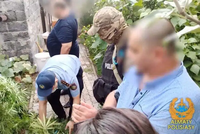 Almaty turǵynynan 24 keli marıhýana tabyldy