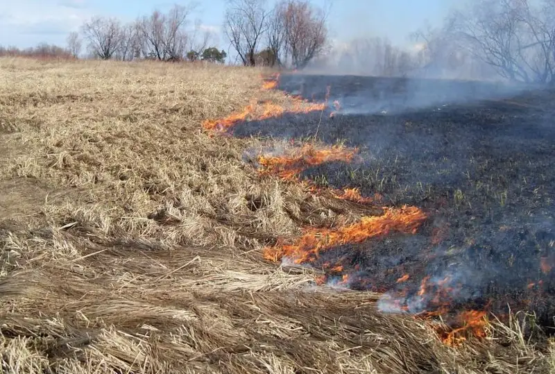 Свыше 20 гектаров горевшей степи потушили в Павлодарской области