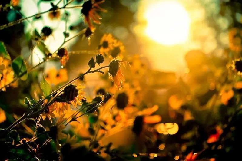 قازاقستاننىڭ كەي وڭىرلەرىندە اپتاپ، كەي ايماقتارىندا نوسەر جاۋىن بولادى