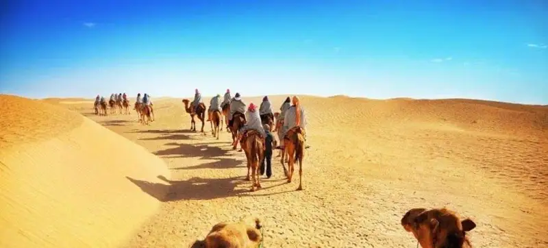 Европа  и Америка лидируют в восстановлении туризма