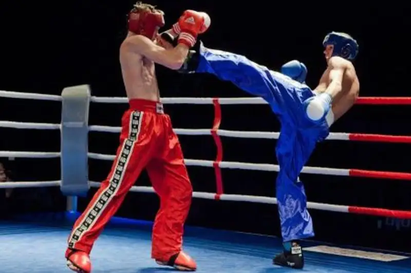 Казахстан завоевал 51 медаль на чемпионате мира по кикбоксингу