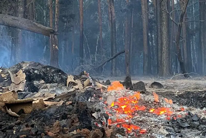 Работы в очагах лесных пожаров в Костанайской области продолжаются - оперштаб МЧС РК