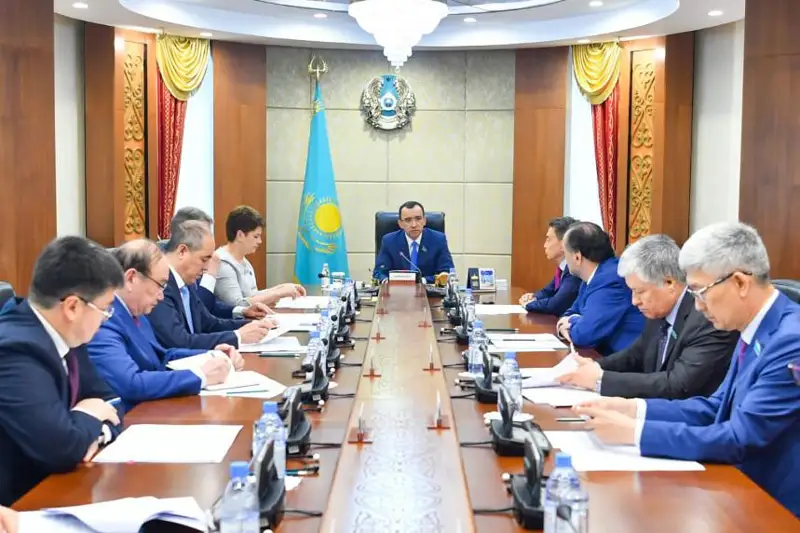 Сенаторлар Үкімет пен Есеп комитетінің есебін тыңдайды