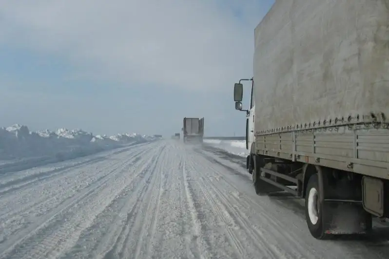 Раскрыто убийство водителя-дальнобойщика, перевозившего дорогостоящий груз в Алматинской области