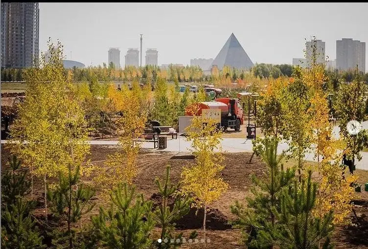 استانا ماڭىنا بيىل 120 مىڭعا جۋىق تال-تەرەك ەگىلەدى